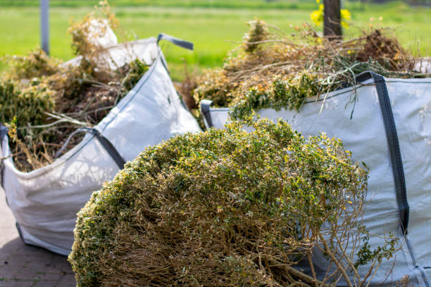 Best Yard Waste Removal  in Ponderosa Pine, NM